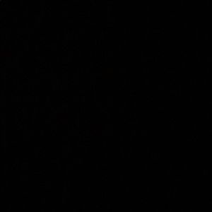 Meet your Posher, Mona